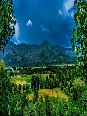 cover image of A True Story of Zoya and Ayan beyond the Mountains of Khyber